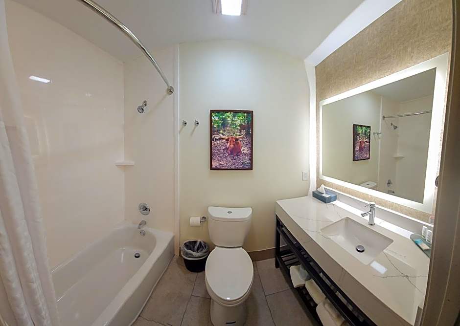 La Quinta Inn & Suites by Wyndham Dallas Mesquite