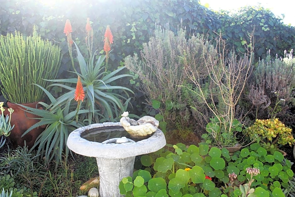 The Sun Catcher Bed & Breakfast