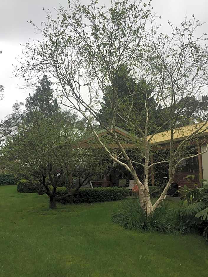 Sherwood Park bed and breakfast