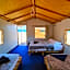 New Droub Camp
