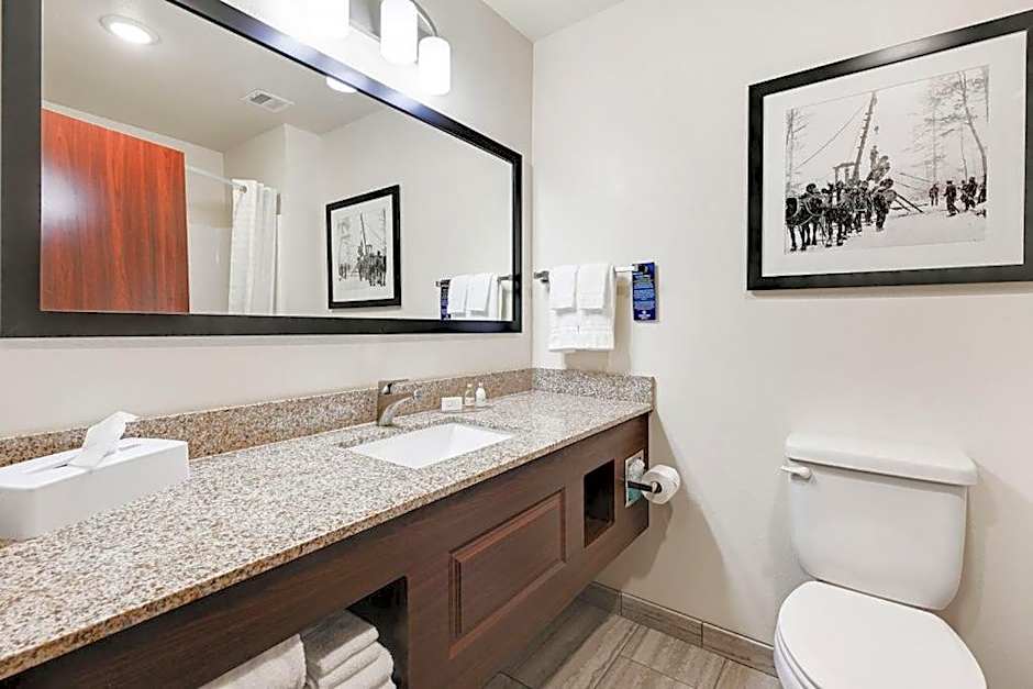 Cobblestone Hotel & Suites - Mosinee