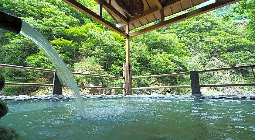 Wanoyado Hotel Iya Onsen Natural Hot Spring