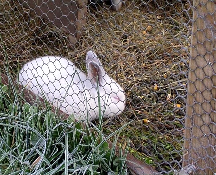 Chambres d'Hôtes Oyhanartia