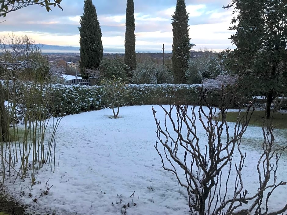 La Paloma B&B di Charme