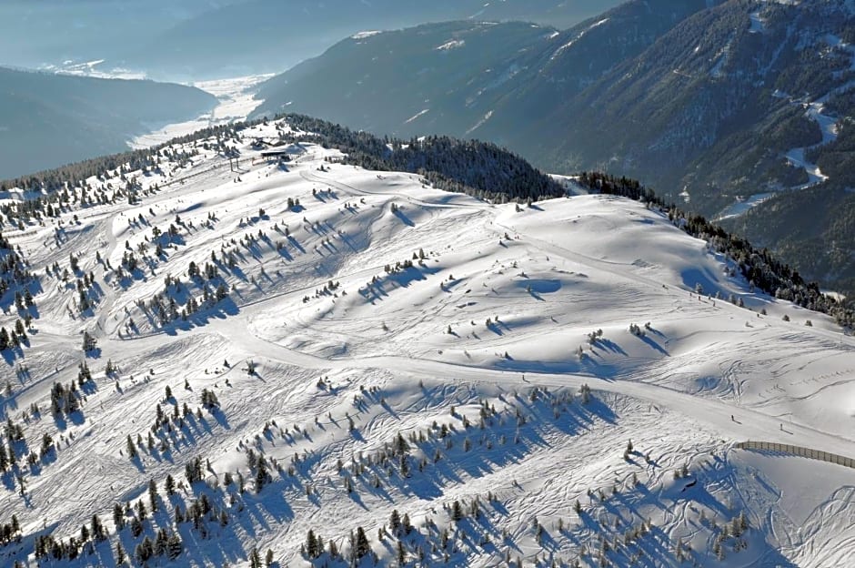Ferienhütte Hoitahüttl
