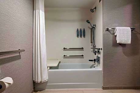 Studio, 1 King Bed with Sofa bed (1 King Bed and 1 Double Sofa Bed)