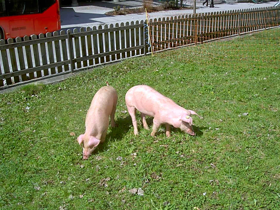 Apparthotel Ederfeld