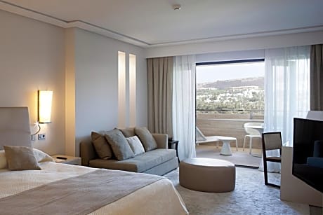 Superior Double Room with Pool and Garden View