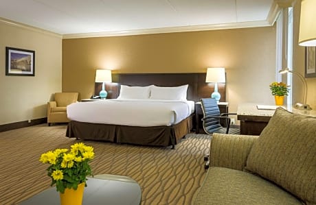 King Suite with Sofa-Bed - Non-Smoking
