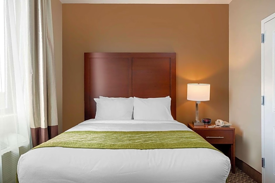 Comfort Inn & Suites near JFK Air Train