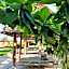 Haber Hotel & SPA