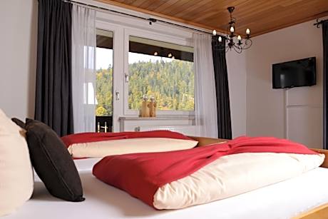 Double or Twin Room with Balcony or Terrace