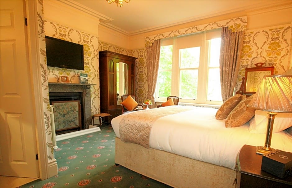 Photo 1 of 4 of Comfort Family 1 King Bed
