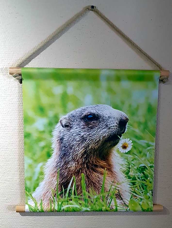 Hôtel les Deux Cols