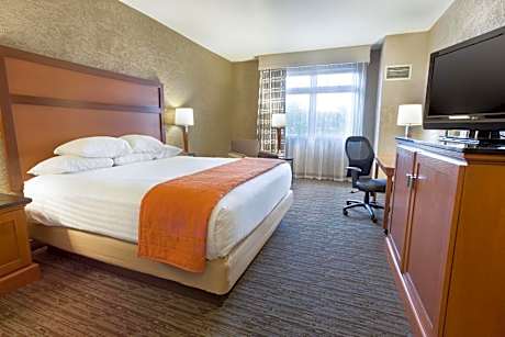 Deluxe King Room – High Floor