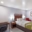 Quality Inn Redding near I-5