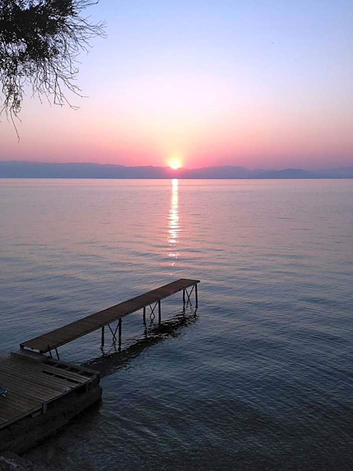 Canvas by Mitsis Belvedere