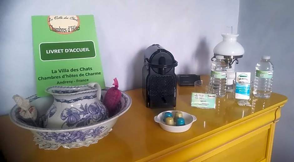 la villa des chats