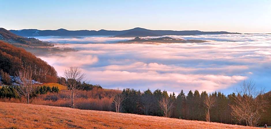 Hotel Gersfelder Hof