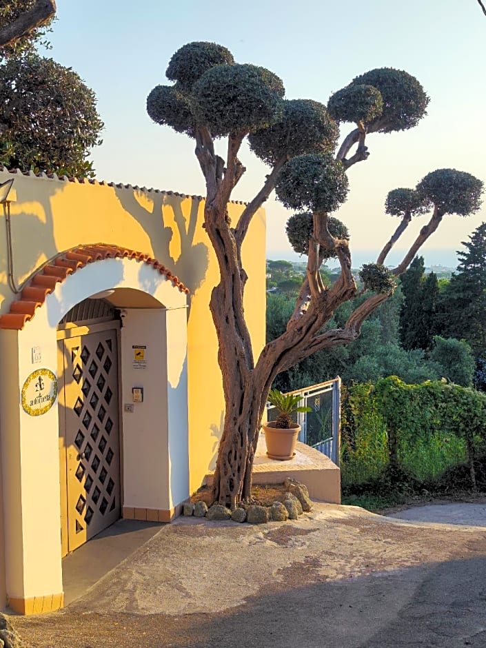 Villa Antonietta Ischia