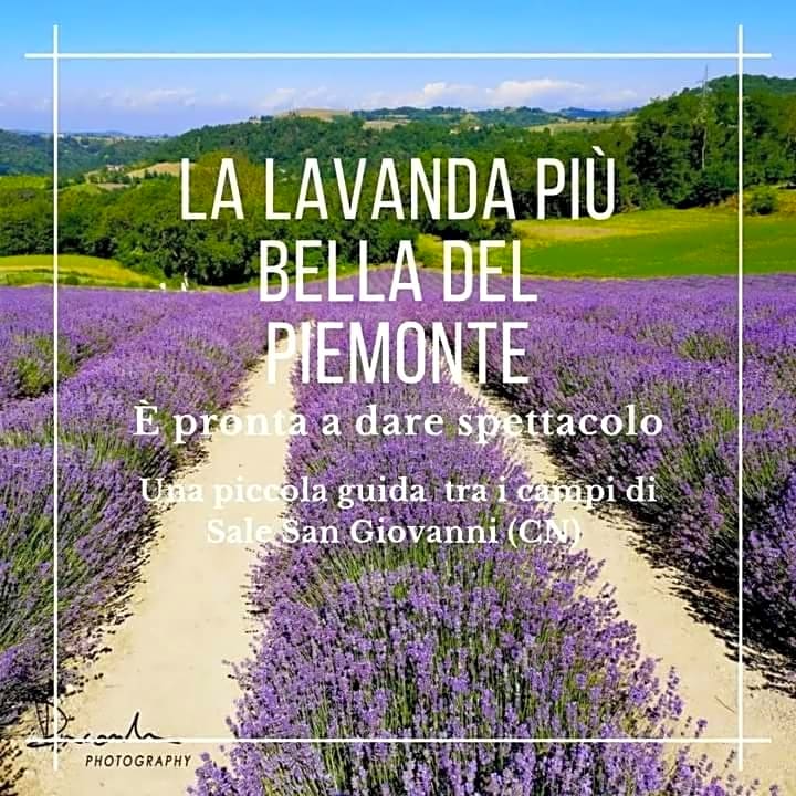 La Tana dello Scoiattolo - Adults Only