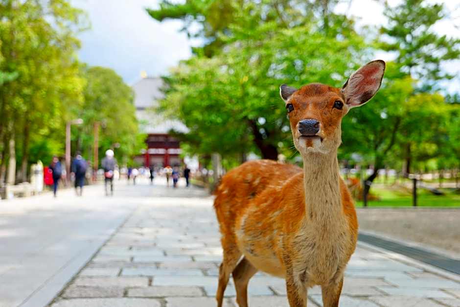 SEKAI HOTEL Deep Osaka Experience