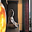 Retro Boutique Hotel