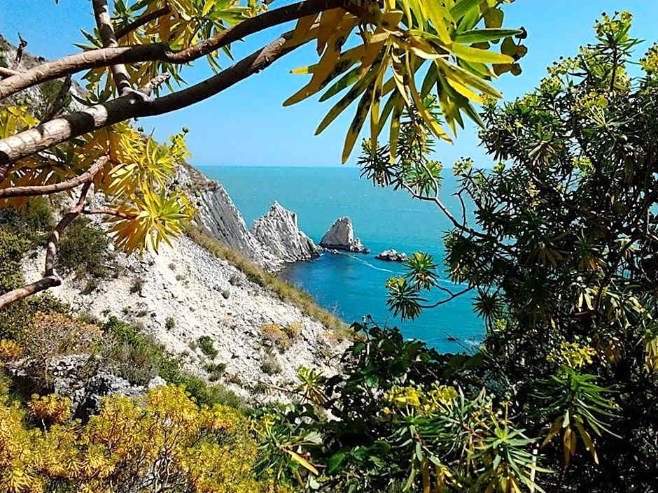 Hotel "Il Parco" B&B Sirolo