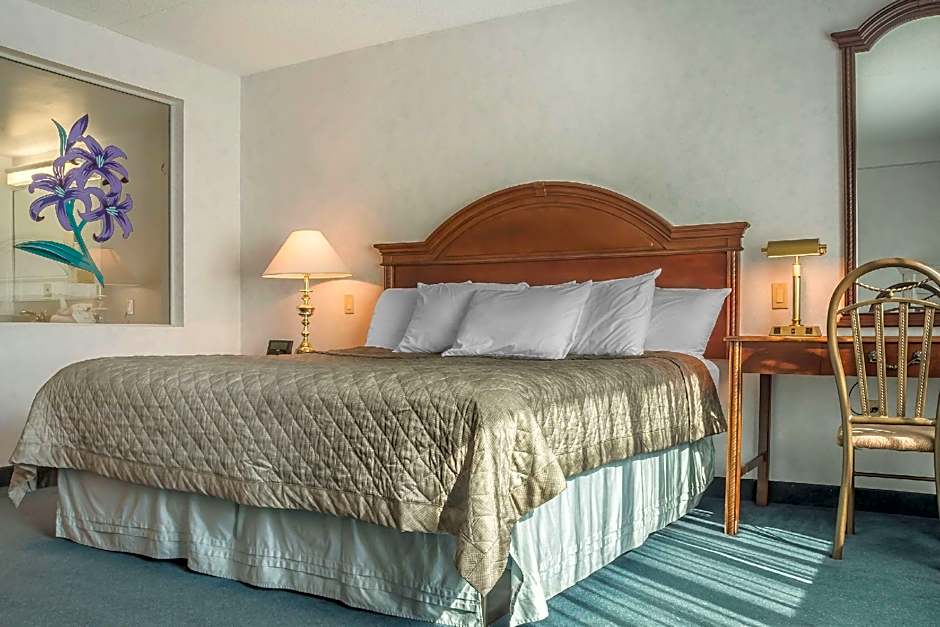 Rodeway Inn Fallsview