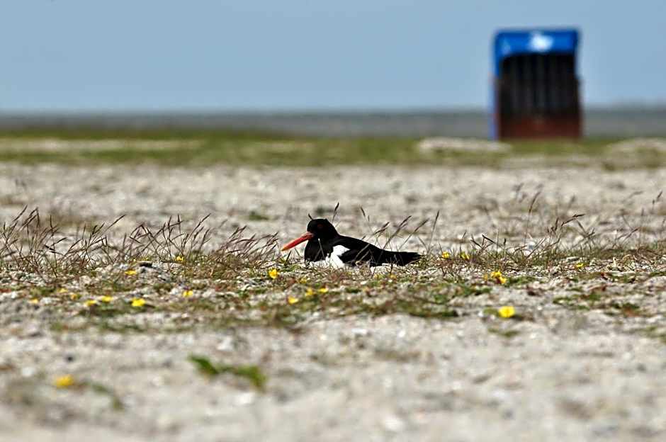 Landhotel Alte Schule - Hotel Garni