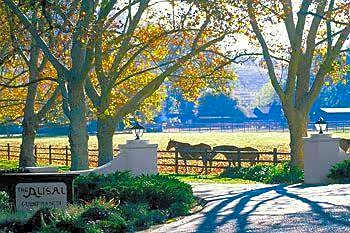 Alisal Guest Ranch & Resort