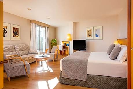 Hotel Tryp Castellon Center