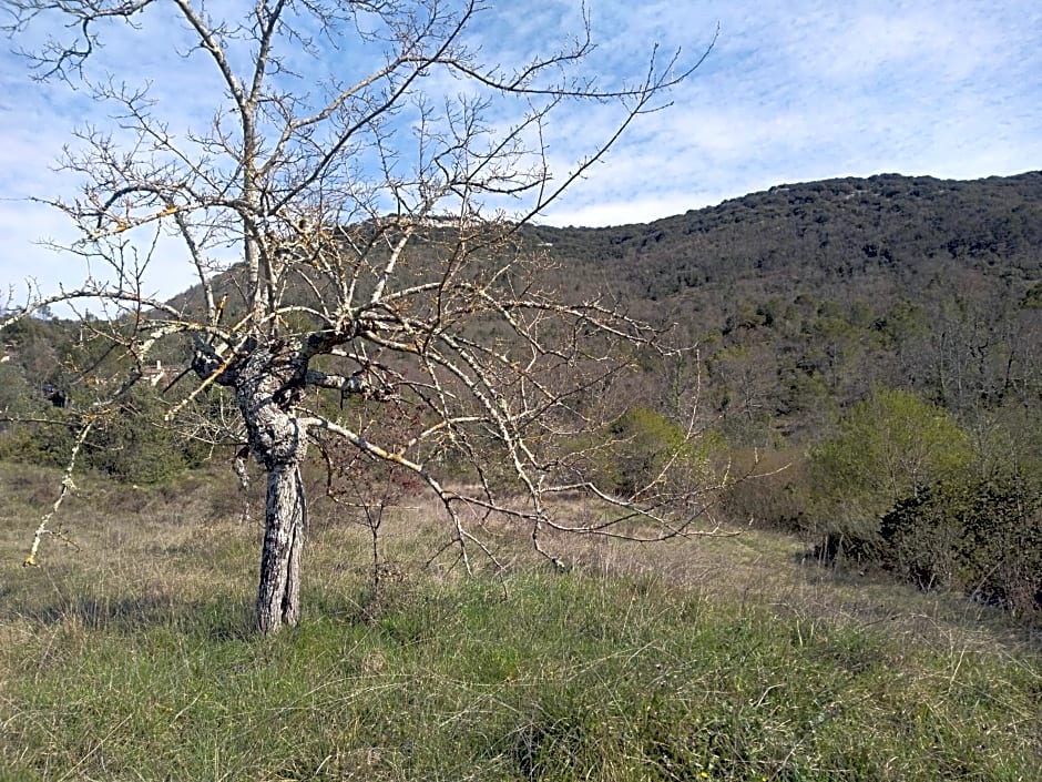 Chambre d'hôtes Lou Couradou