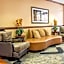 Comfort Inn & Suites University South