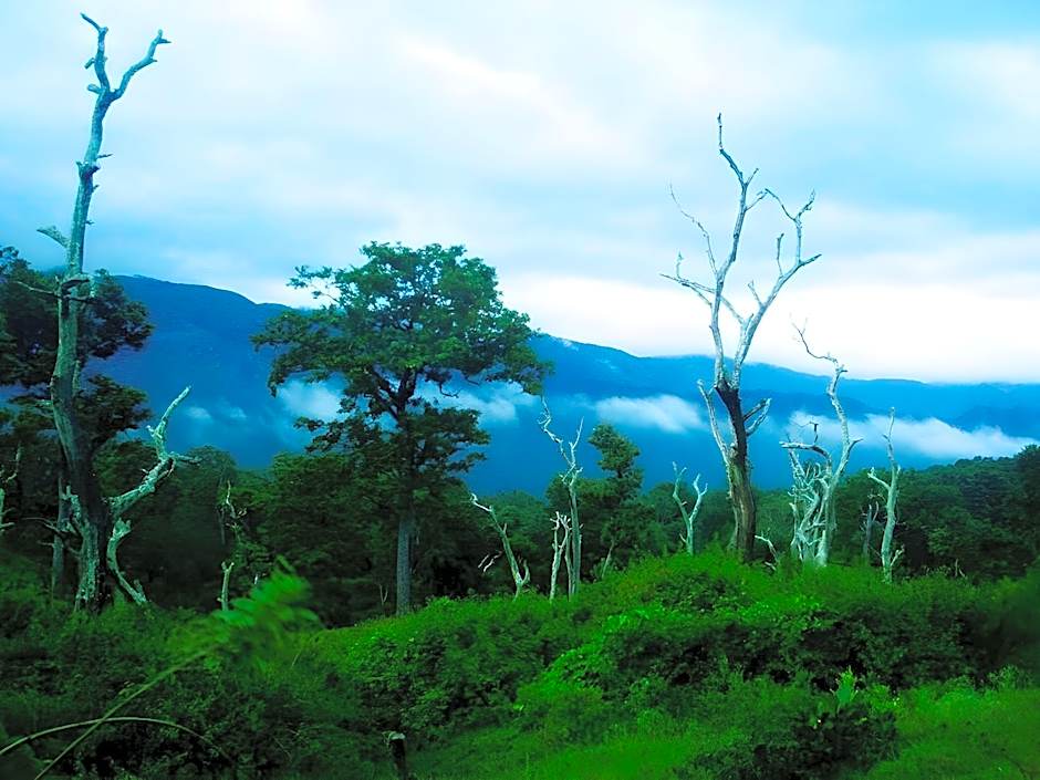 Amberina Homestay - Gudalur