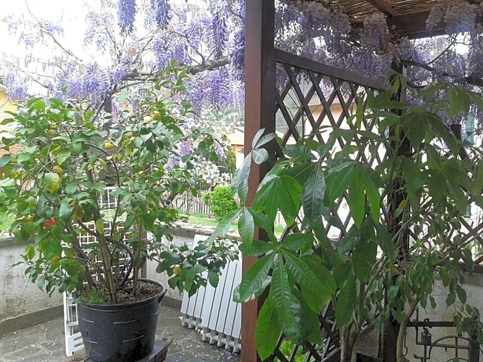 Il Ghiro B&B