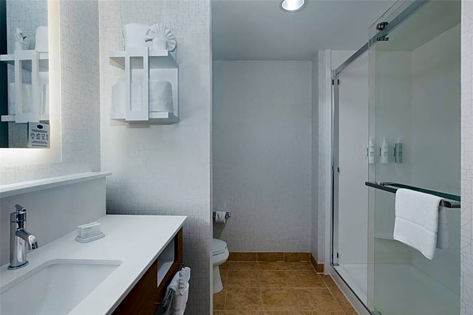 Hampton Inn By Hilton & Suites Dallas-Arlington North-Entertainment Dist.