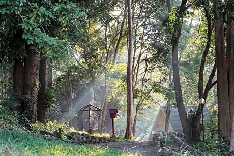 Sappraiwan Elephant Resort & Sanctuary