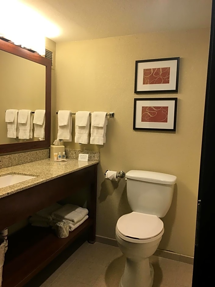 Comfort Suites Near Potomac Mills