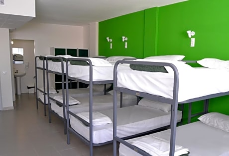 16-Bunk Bed in Mixed Dormitory Room