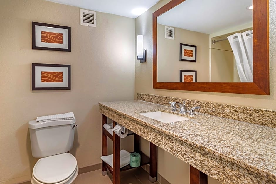 Comfort Inn Biltmore West