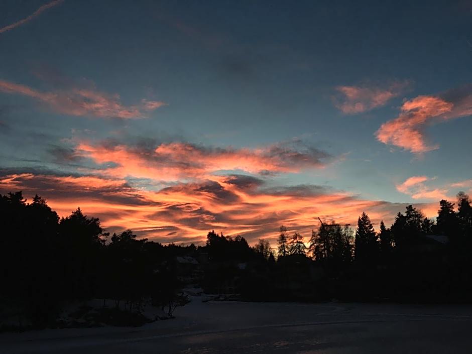 Hotel Am Wolfgrubenersee