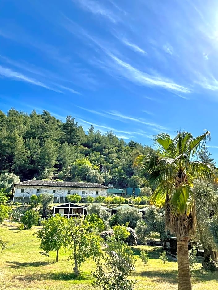 Olympos Angels Garden