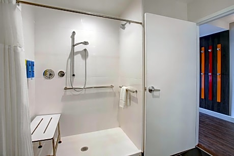 1 King Mobility Accessible Roll In Shower