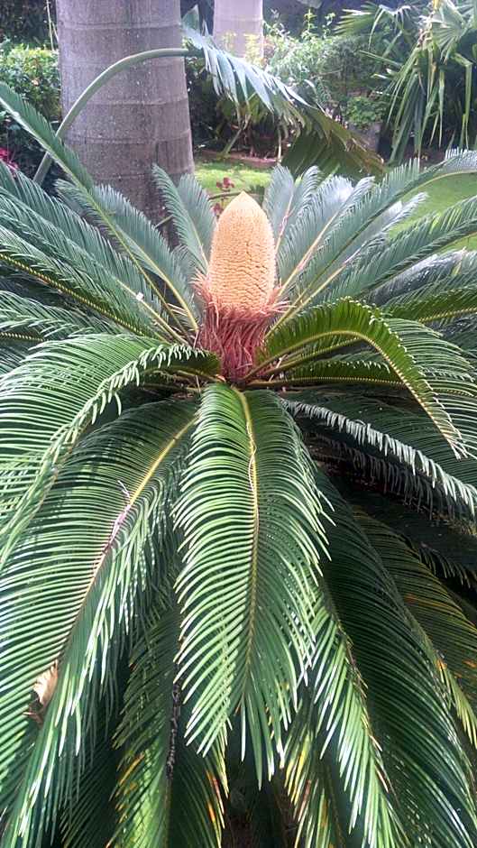 New Charity Hotel International