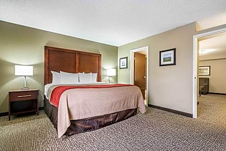 1 Bedroom King Suite
