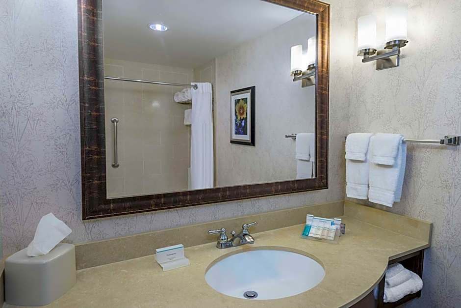 Hilton Garden Inn San Antonio the Rim