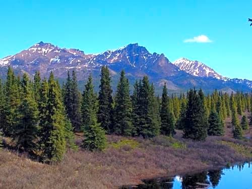 Denali Cabins