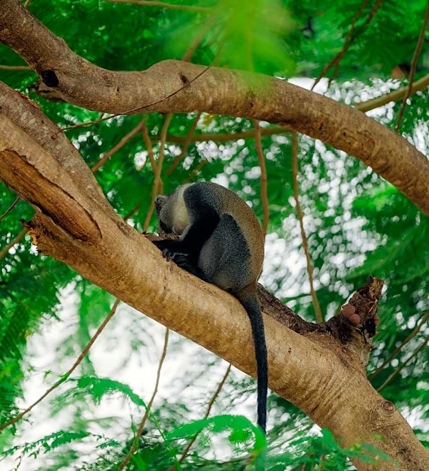 Pearl Beach by Sansi