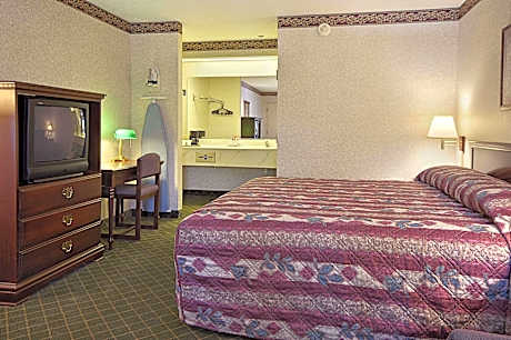 1 King Bed Non-Smoking